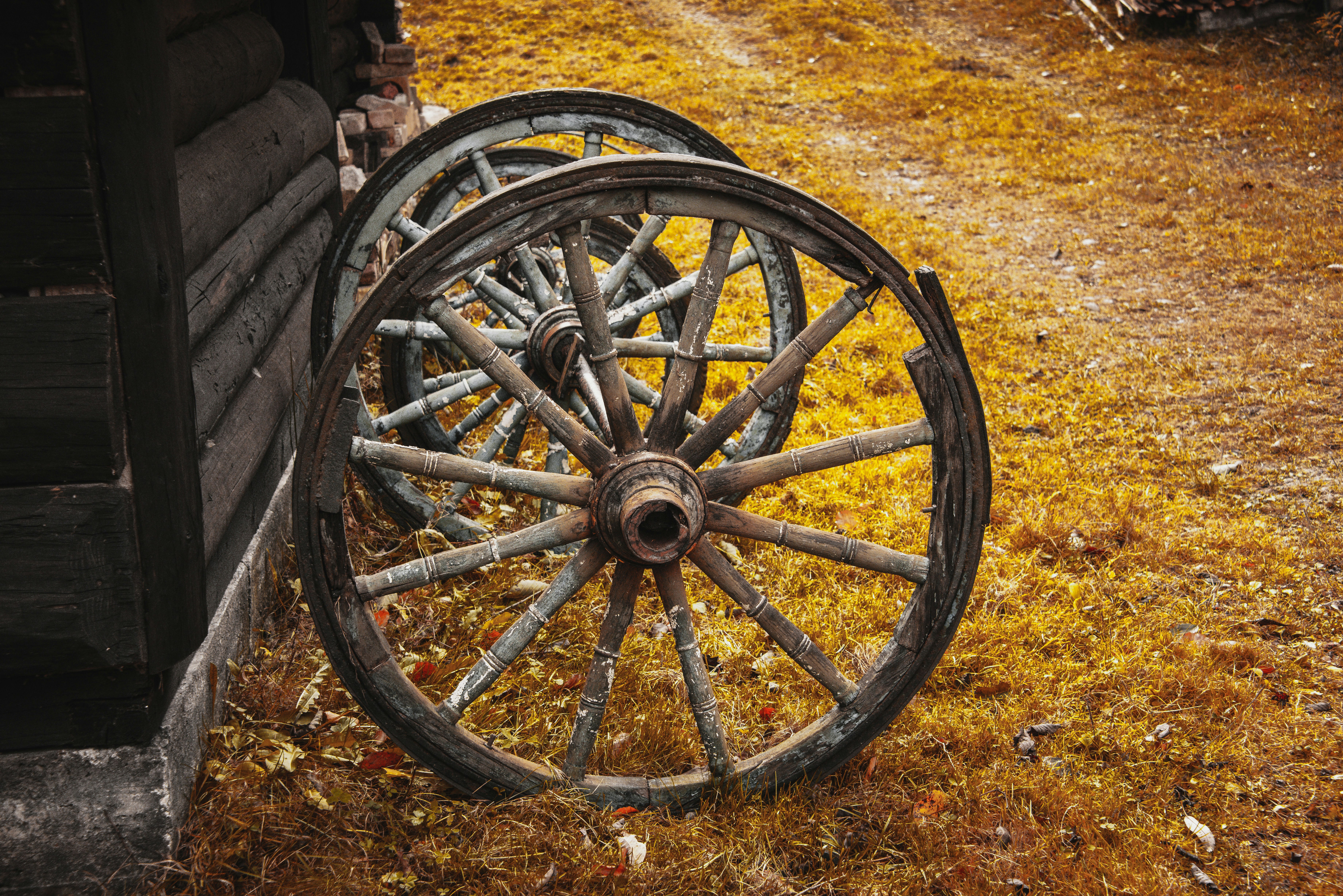 Photo by ferencfegyenc