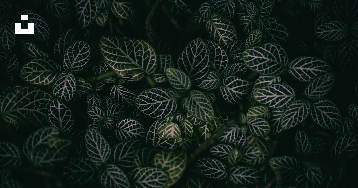 Background pattern photo – Free Pattern Image on Unsplash