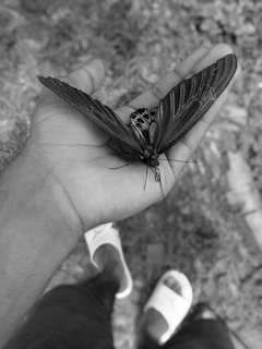 Moody black-and-white portrait of a butterfly resting on a weathered hand, symbolizing transformation.