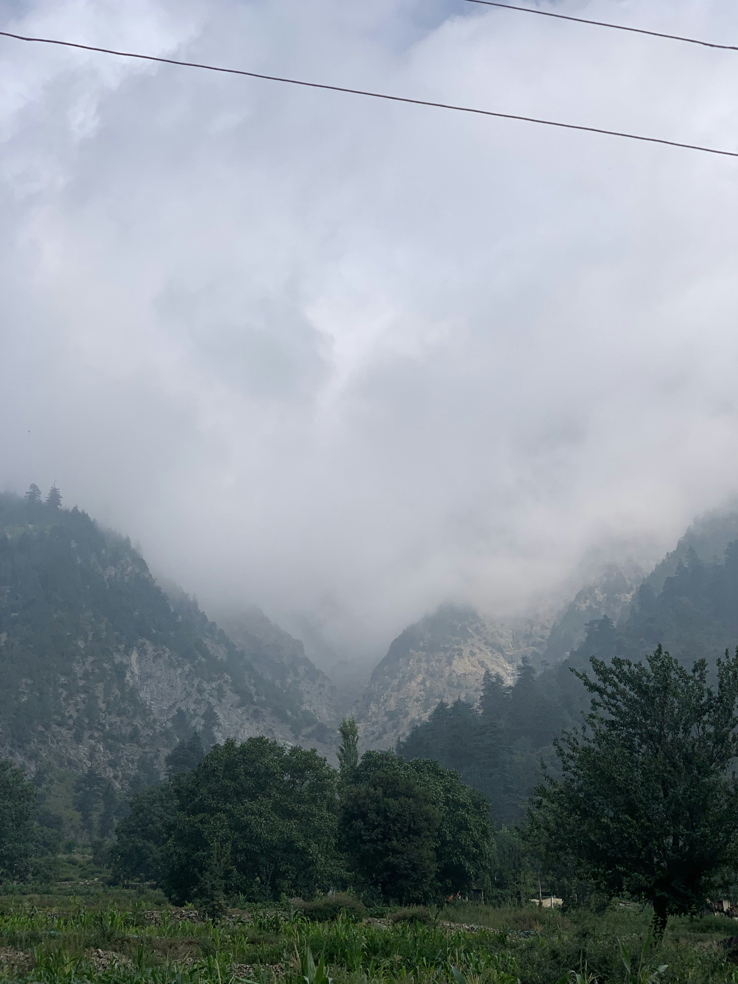 Photo by saadmohammad