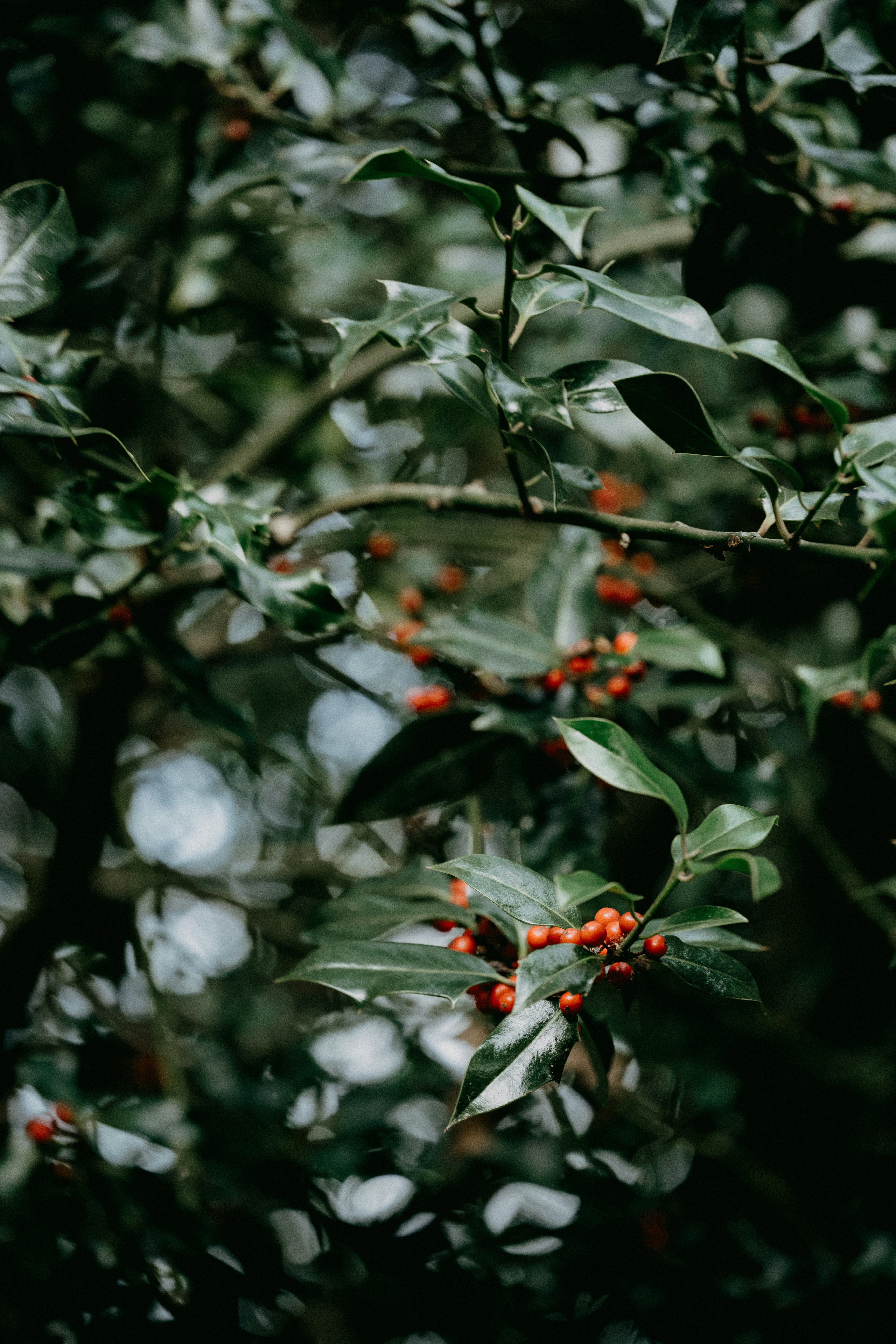 Photo by anniespratt