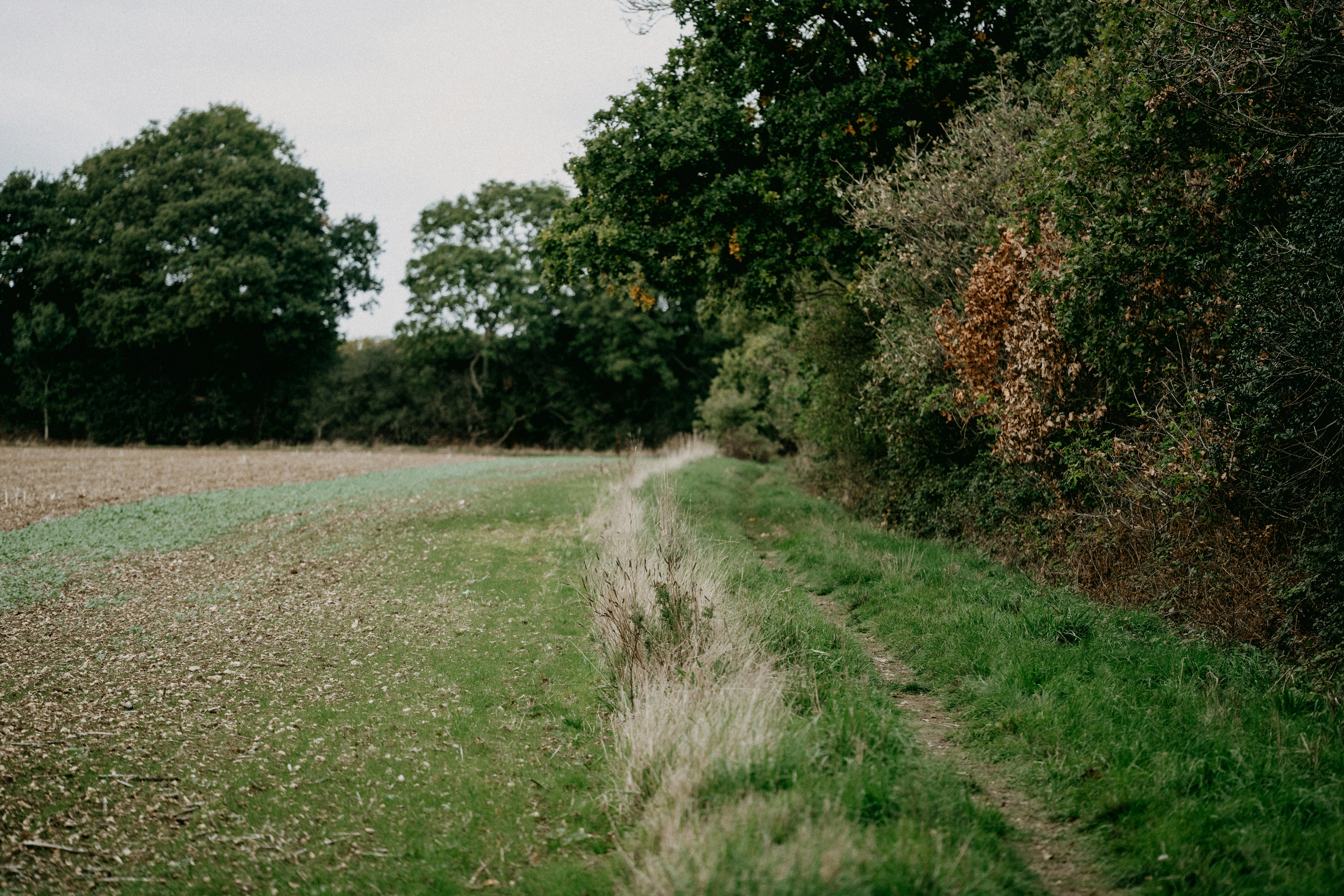 Photo by anniespratt