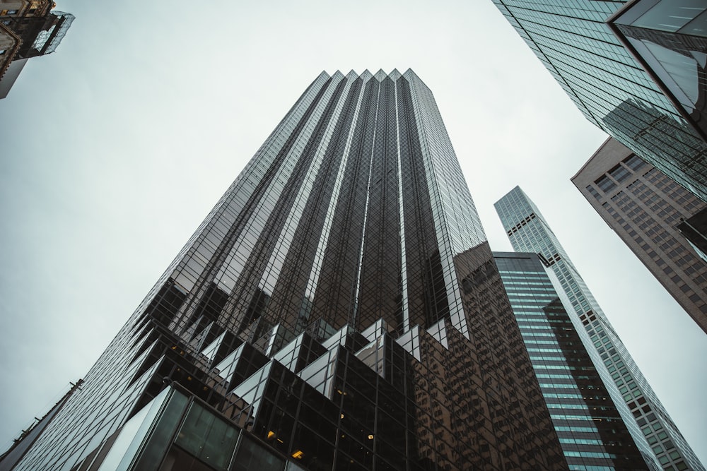 a low angle view of a building