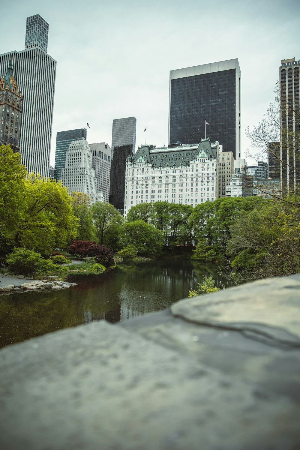 a river with trees and buildings in the background