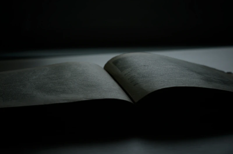 Dark hardcover book
