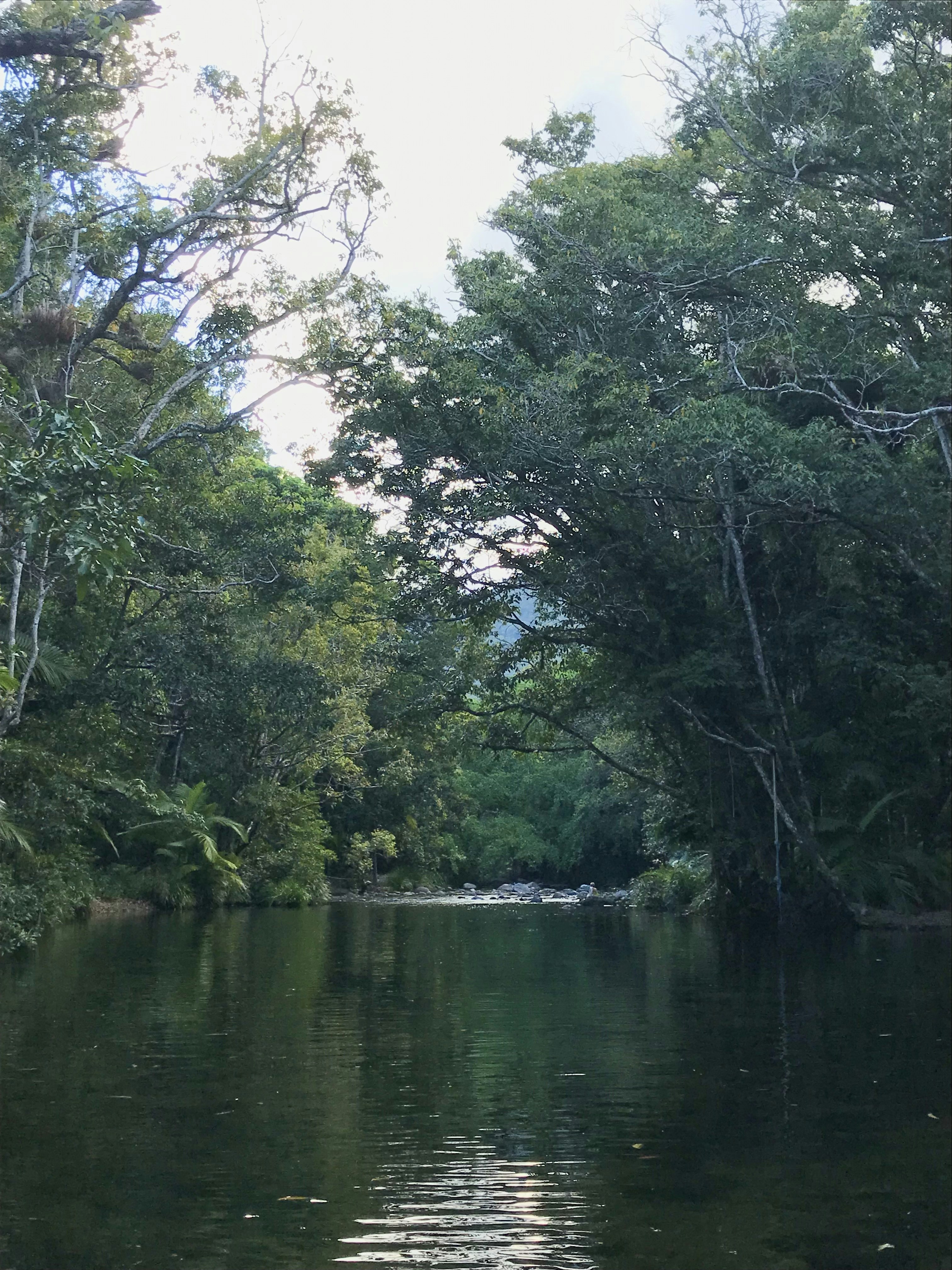 Port Douglas travel photo