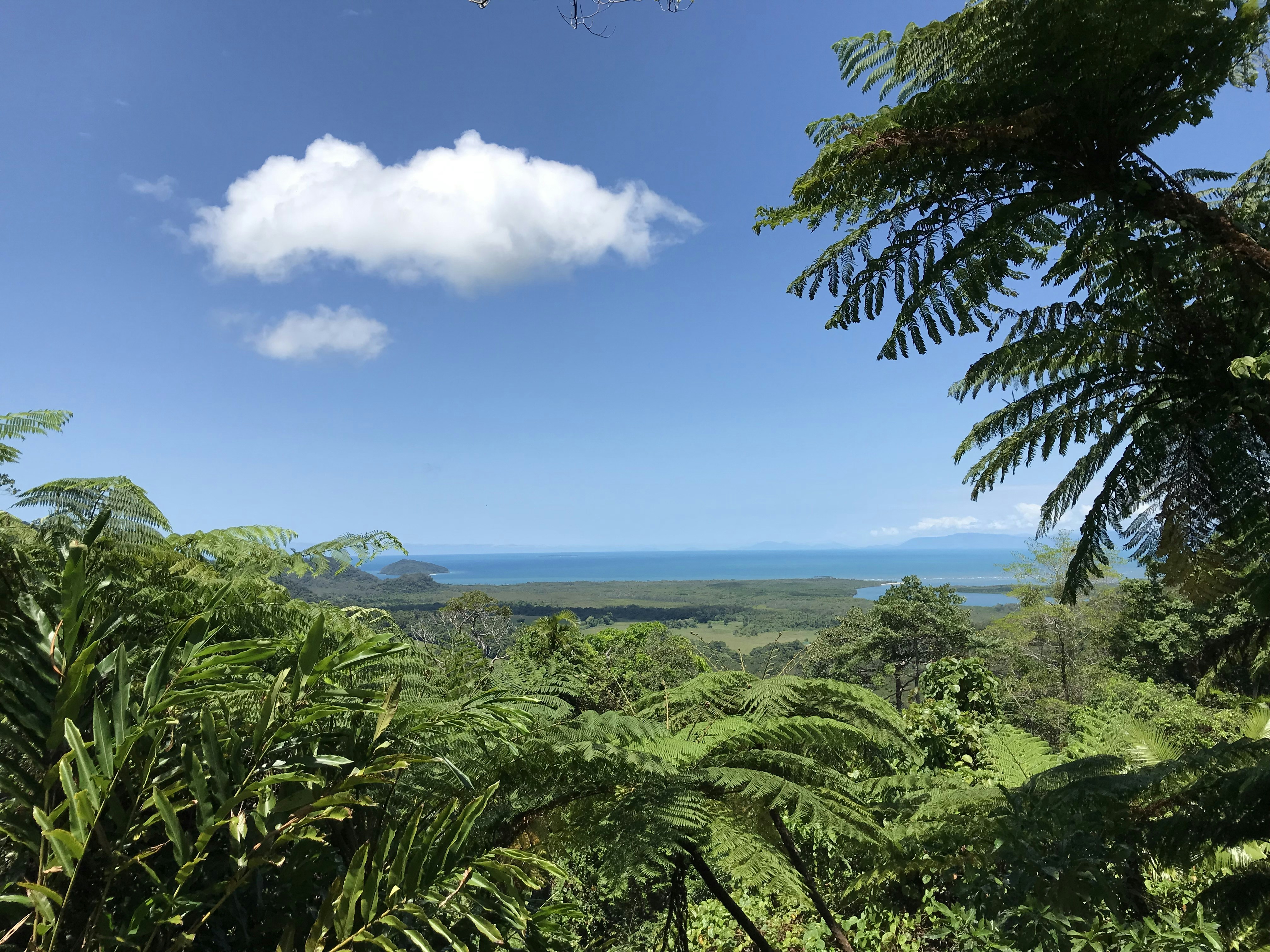 Photo of Cape Tribulation