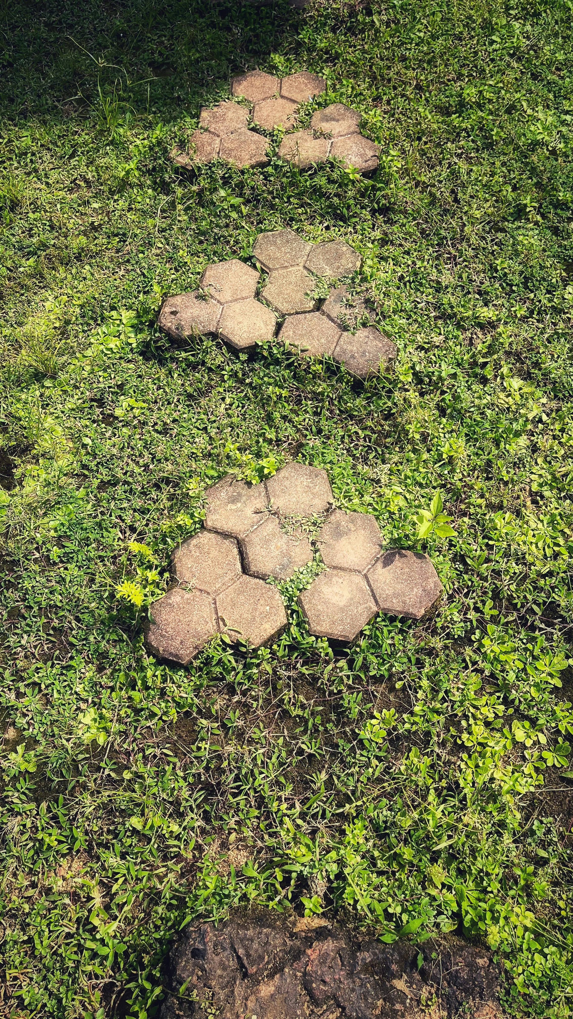 Eine Gruppe von Felsen in einer Rasenfläche