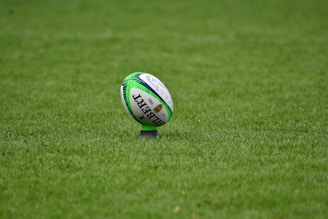 a golf ball on the grass