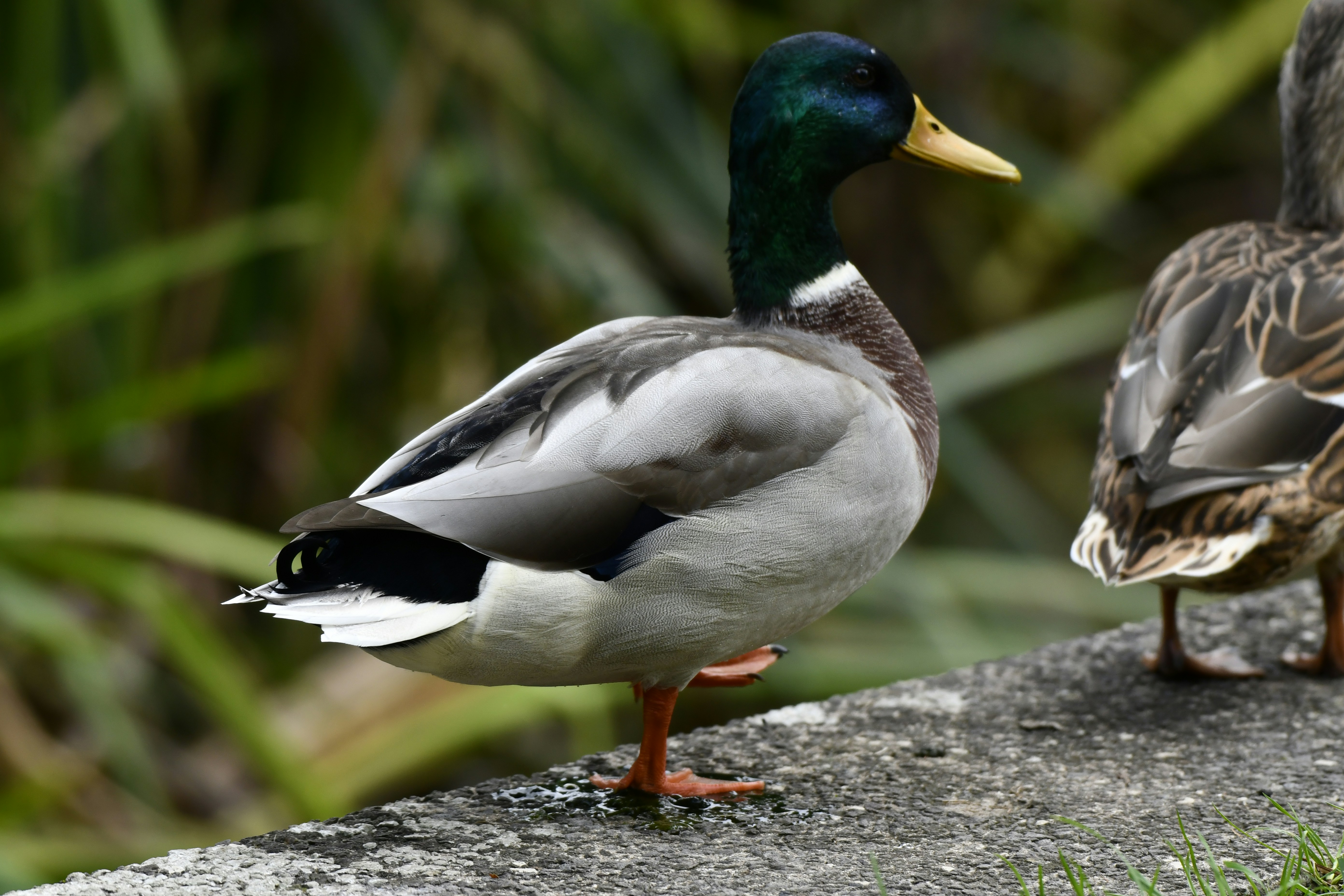 Photo by wrishi2004m