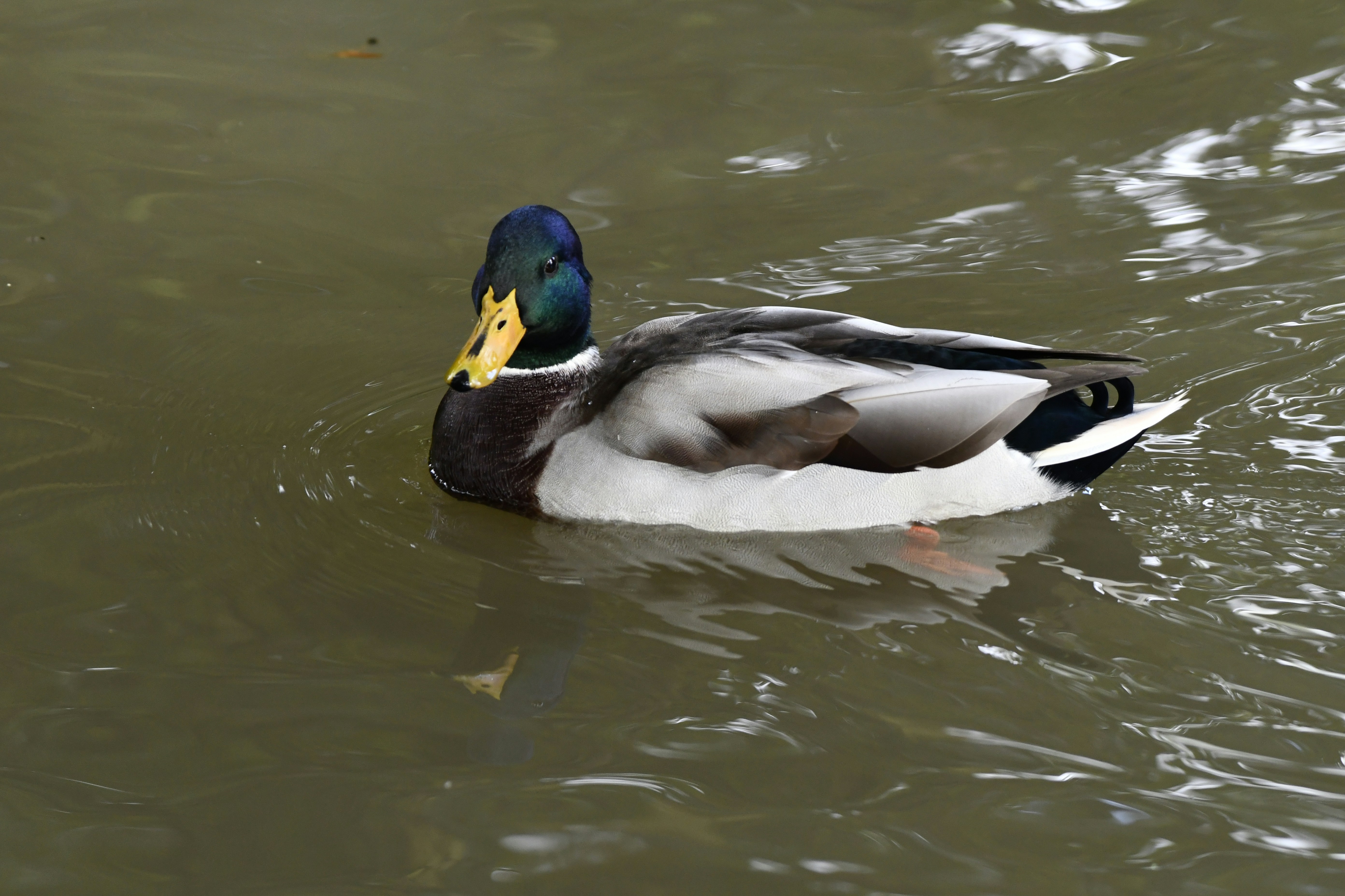 Photo by wrishi2004m