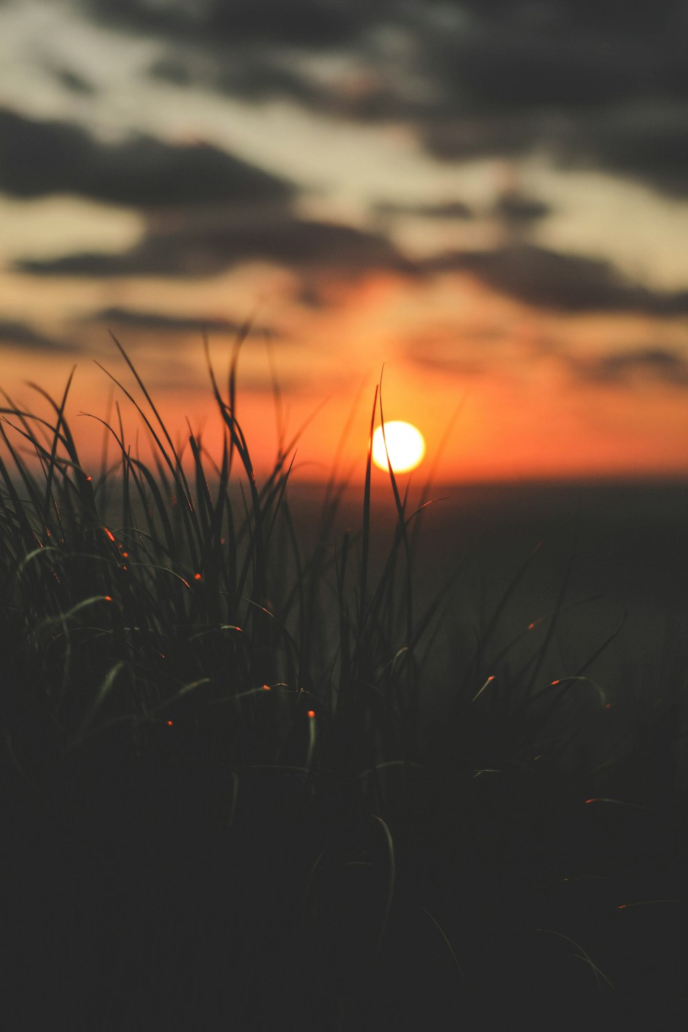 a sunset over a field