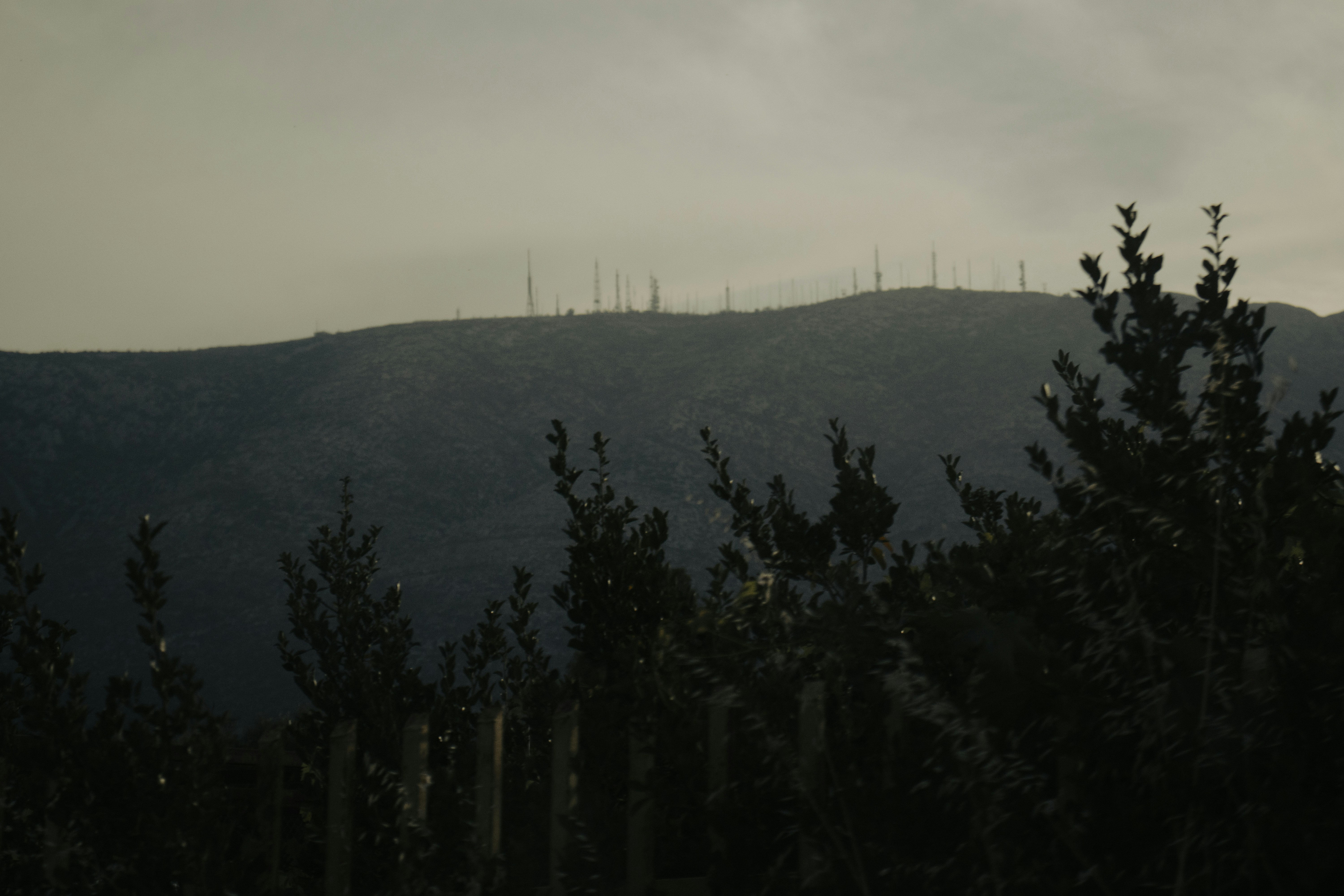 Photo by dyrophotography