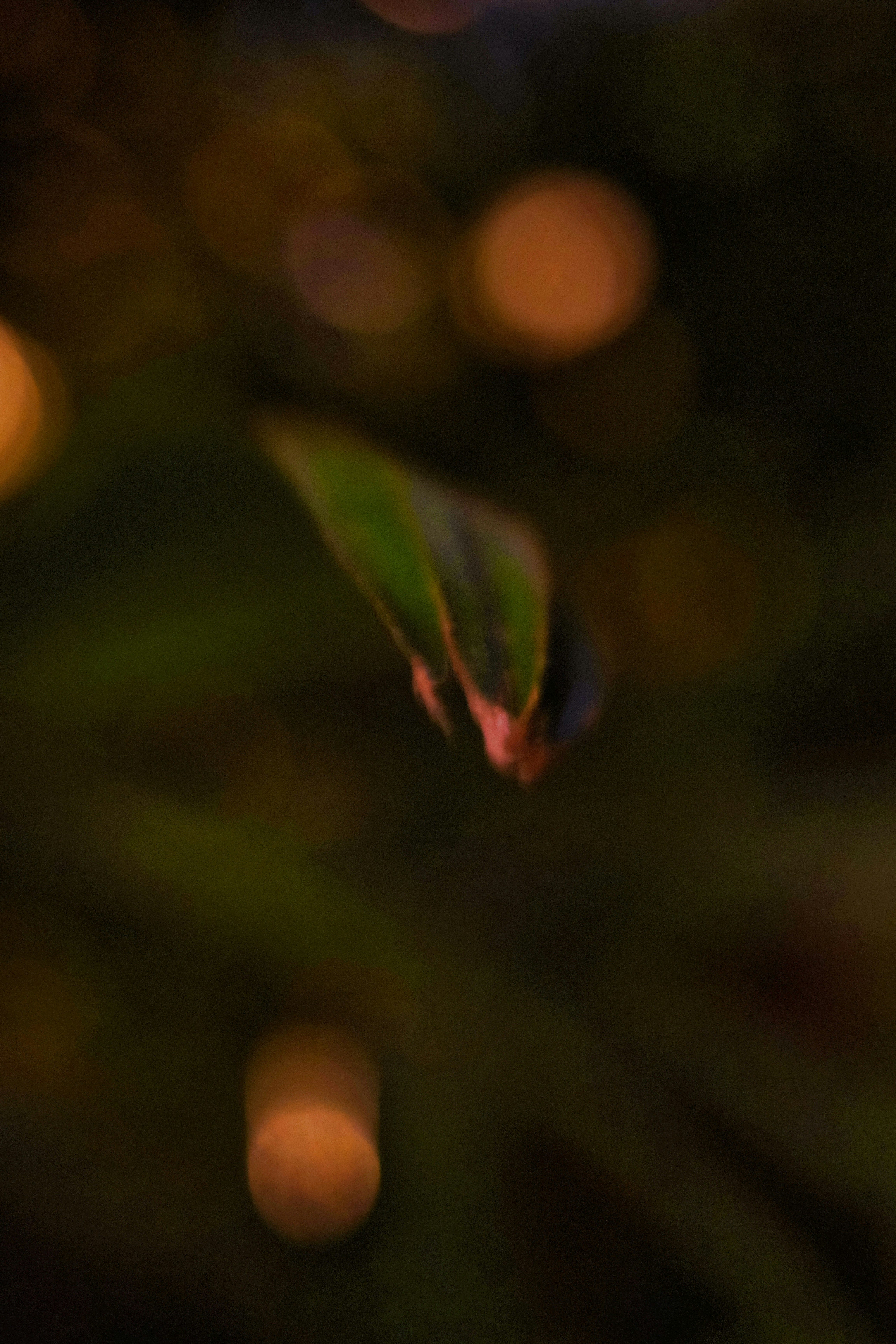 Photo by cryogenicplanet