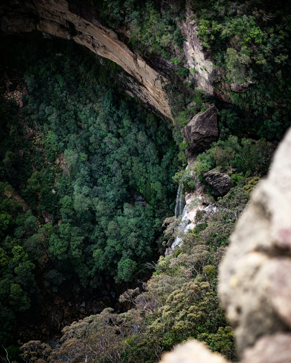 Una cascada en un bosque