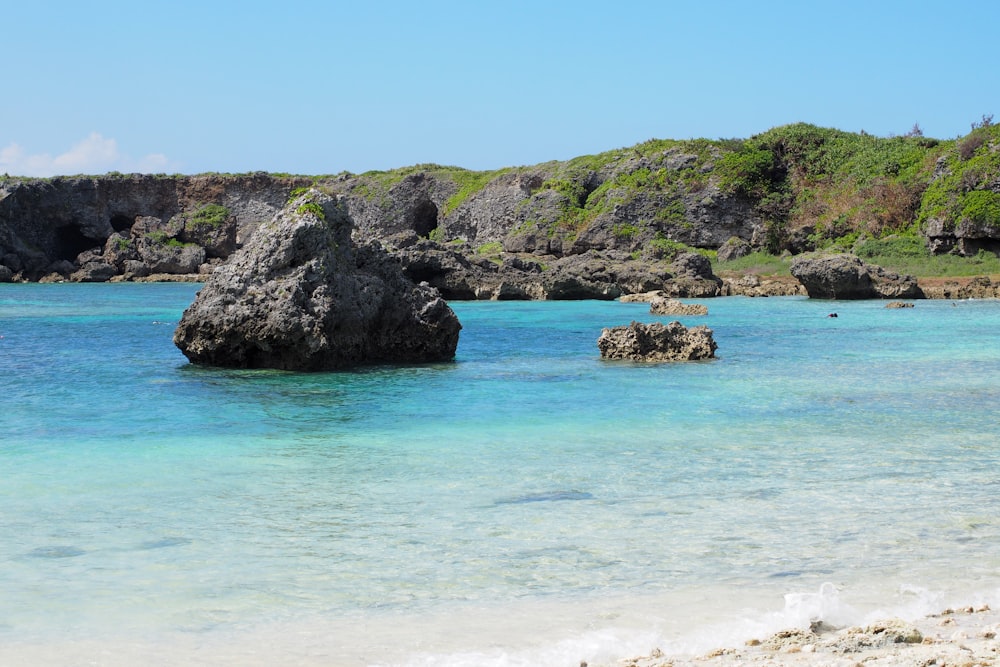 a beach with rocks and trees