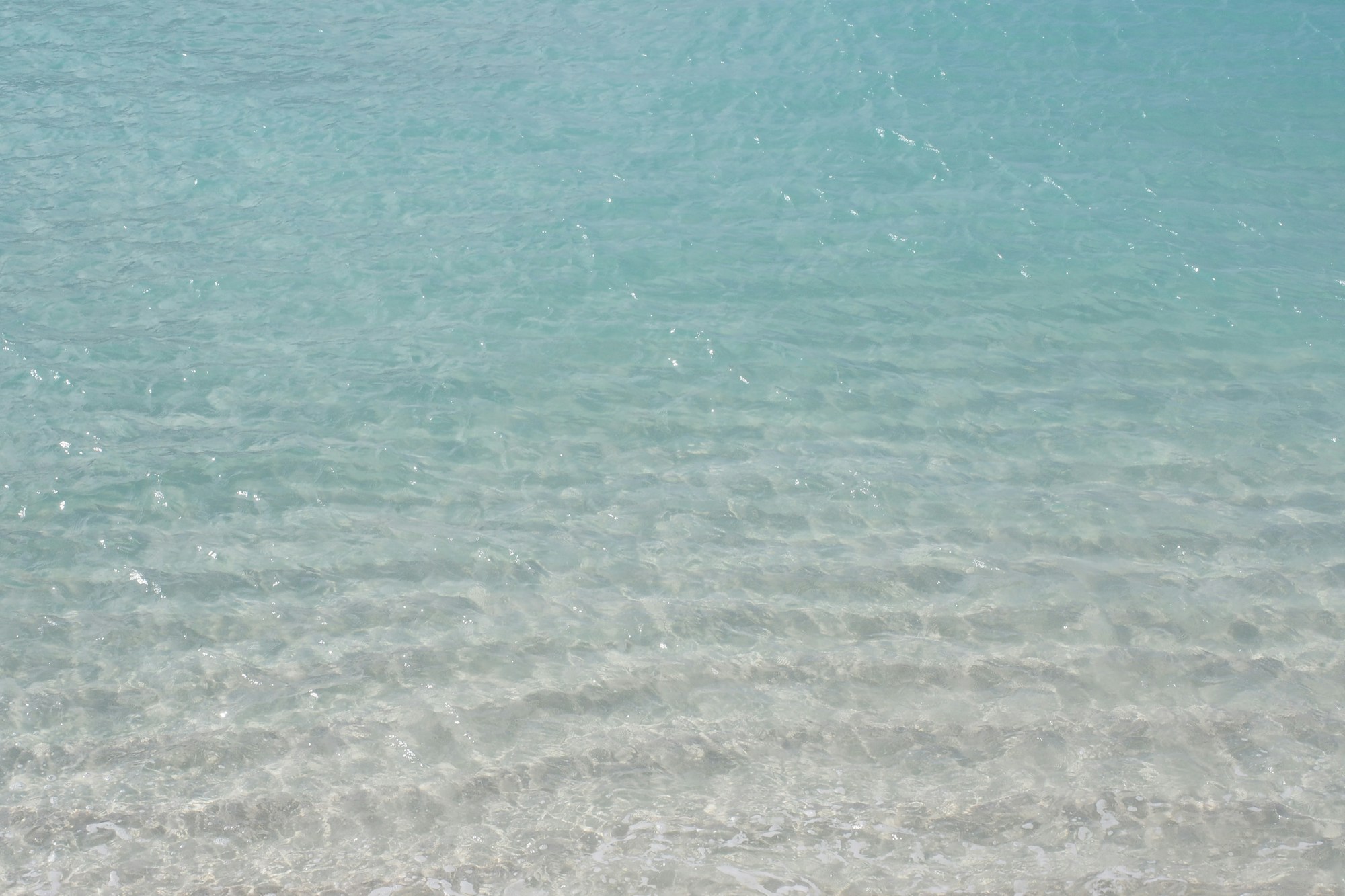 Miyakojima: Ideal Weather and Seasons for Your Visit