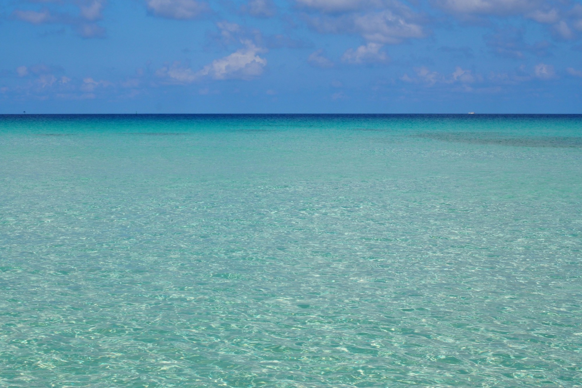 Exploring Miyakojima's Authentic Cuisine: Local Dishes, Restaurants, and Traditional Recipes