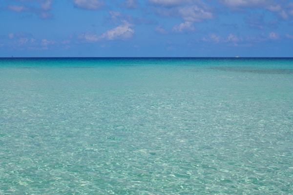 Exploring Miyakojima's Authentic Cuisine: Local Dishes, Restaurants, and Traditional Recipes