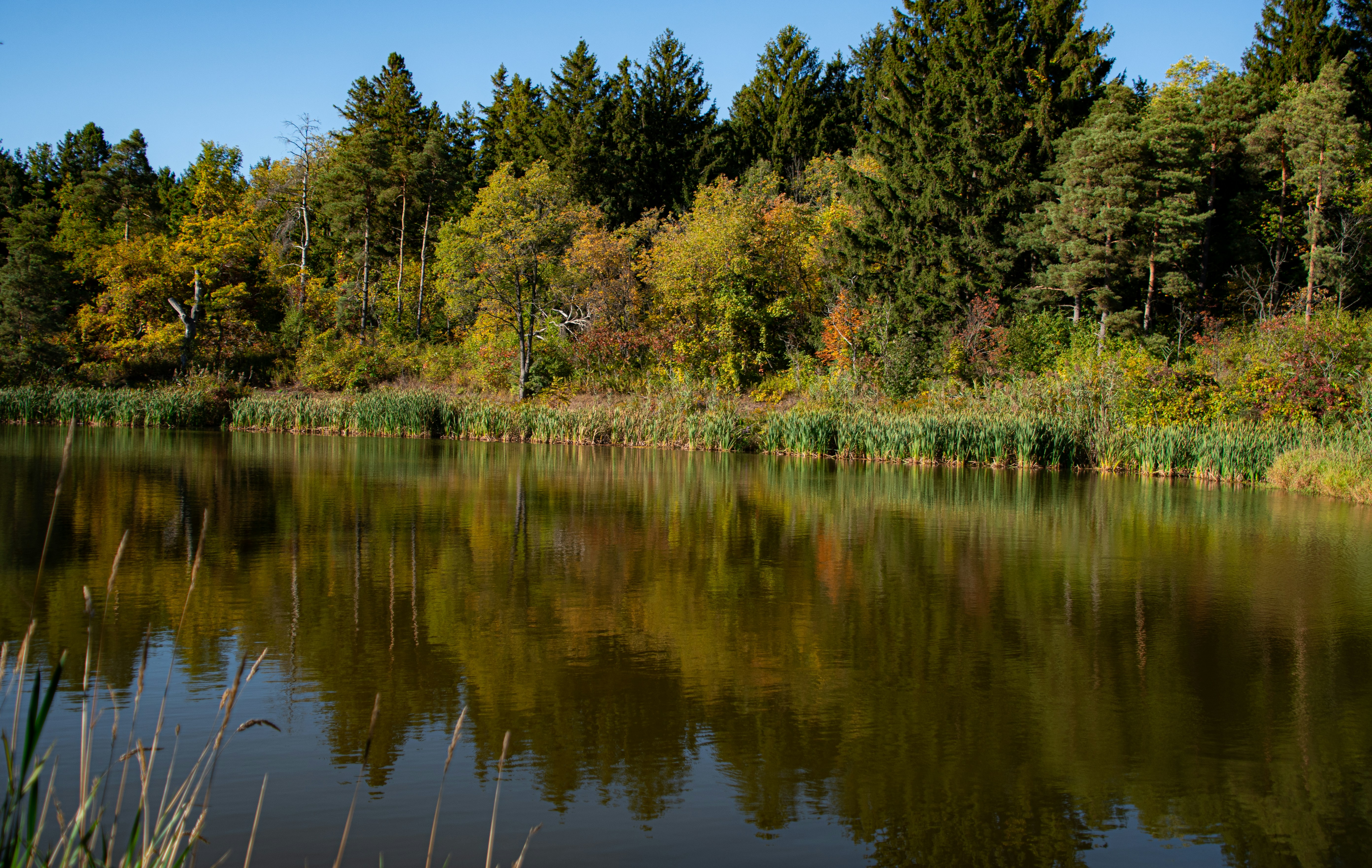 Photo by andrewgazula