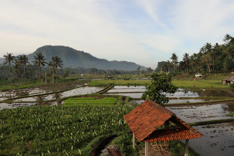 itinéraire 2 semaines Bali