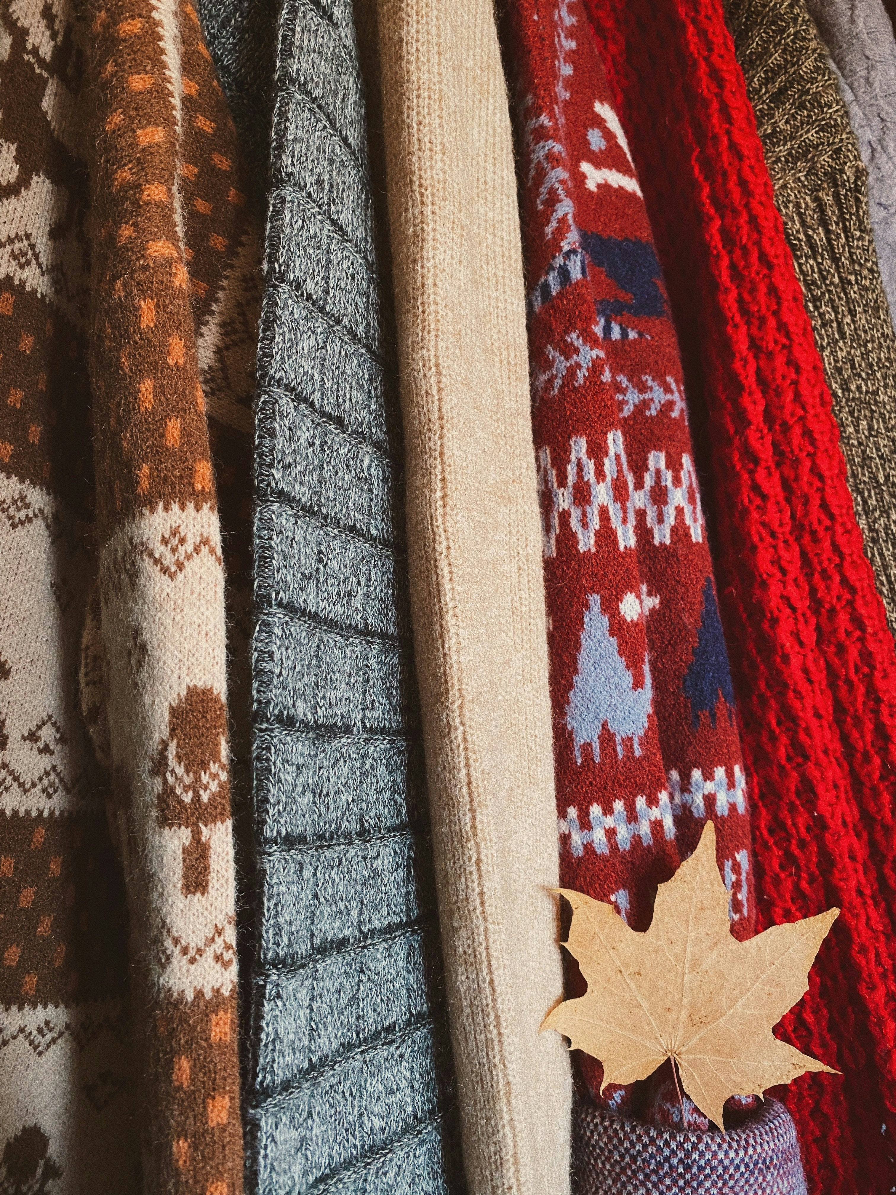 Elegant Autumn Sweater Collection