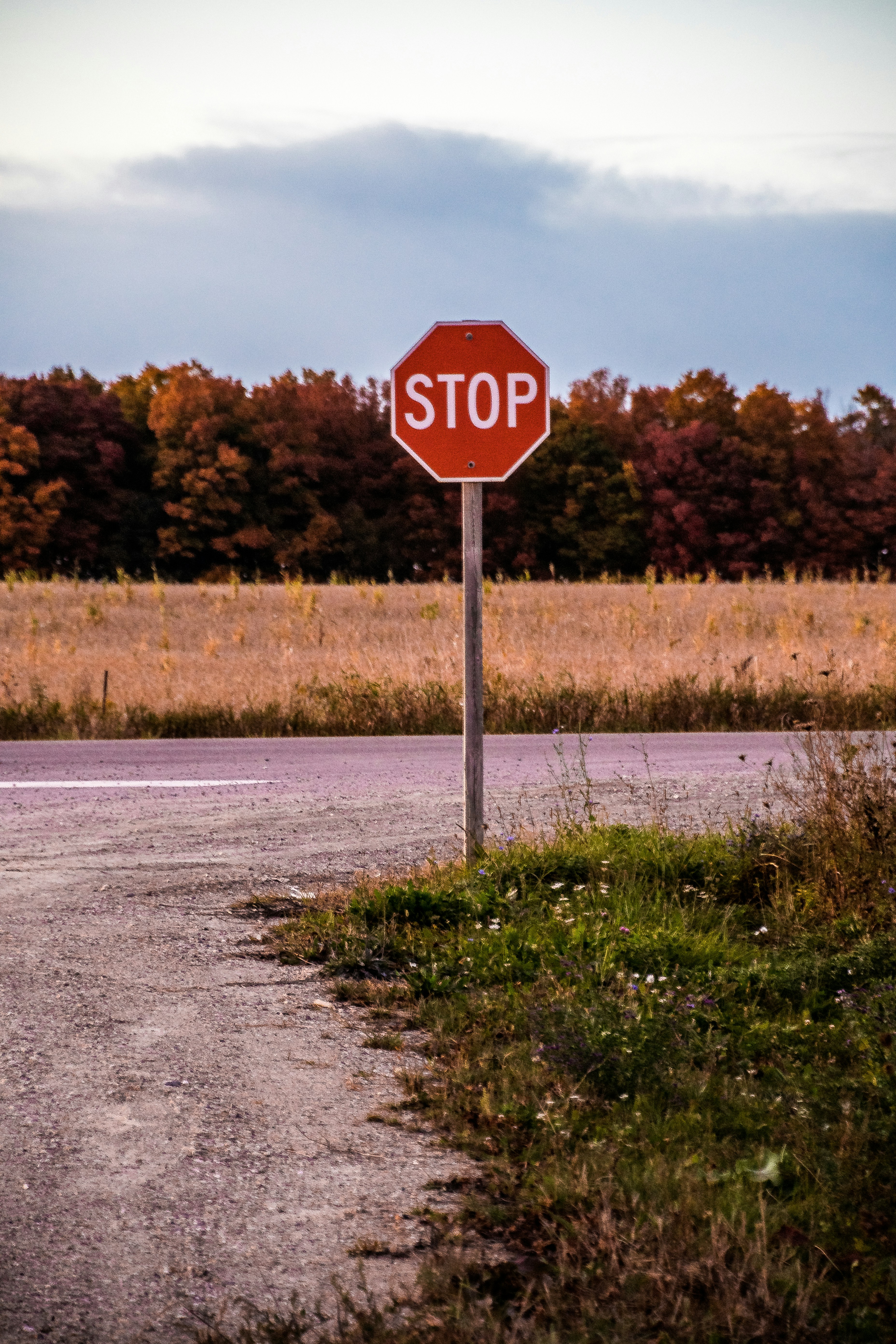 Photo by andrewgazula