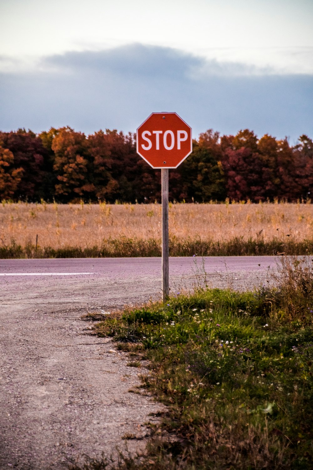 a stop sign on the side of a road