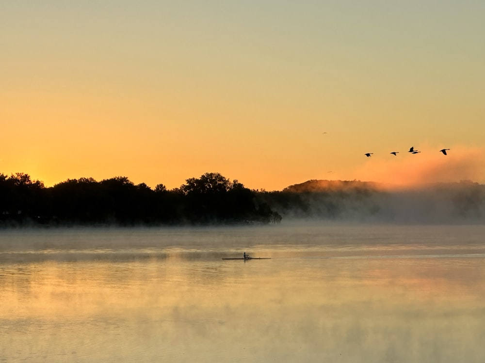 a group of birds flying over a lake