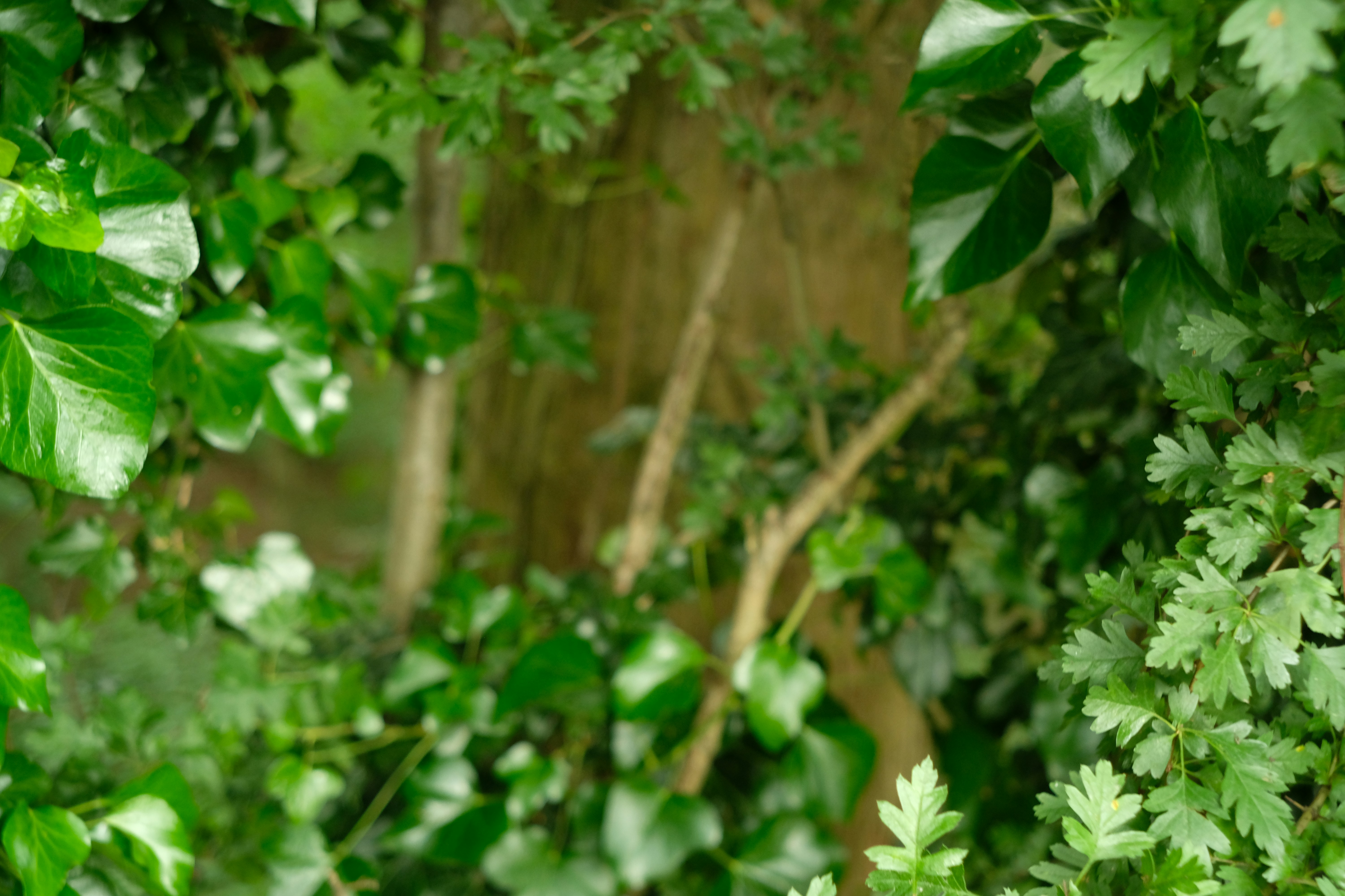 Photo by judithknight