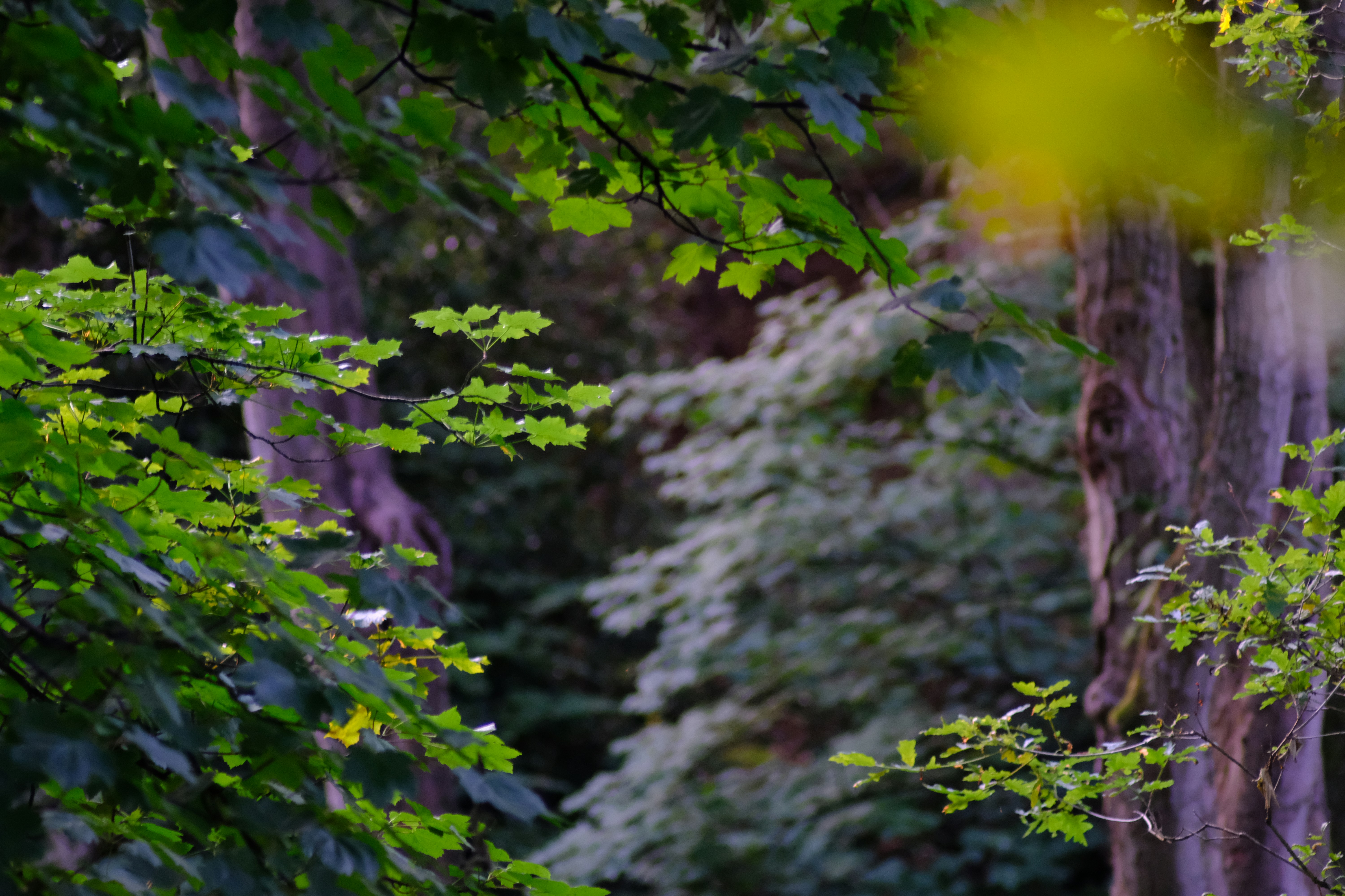 Photo by judithknight