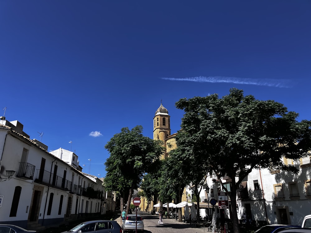 a street with trees and buildings on the side