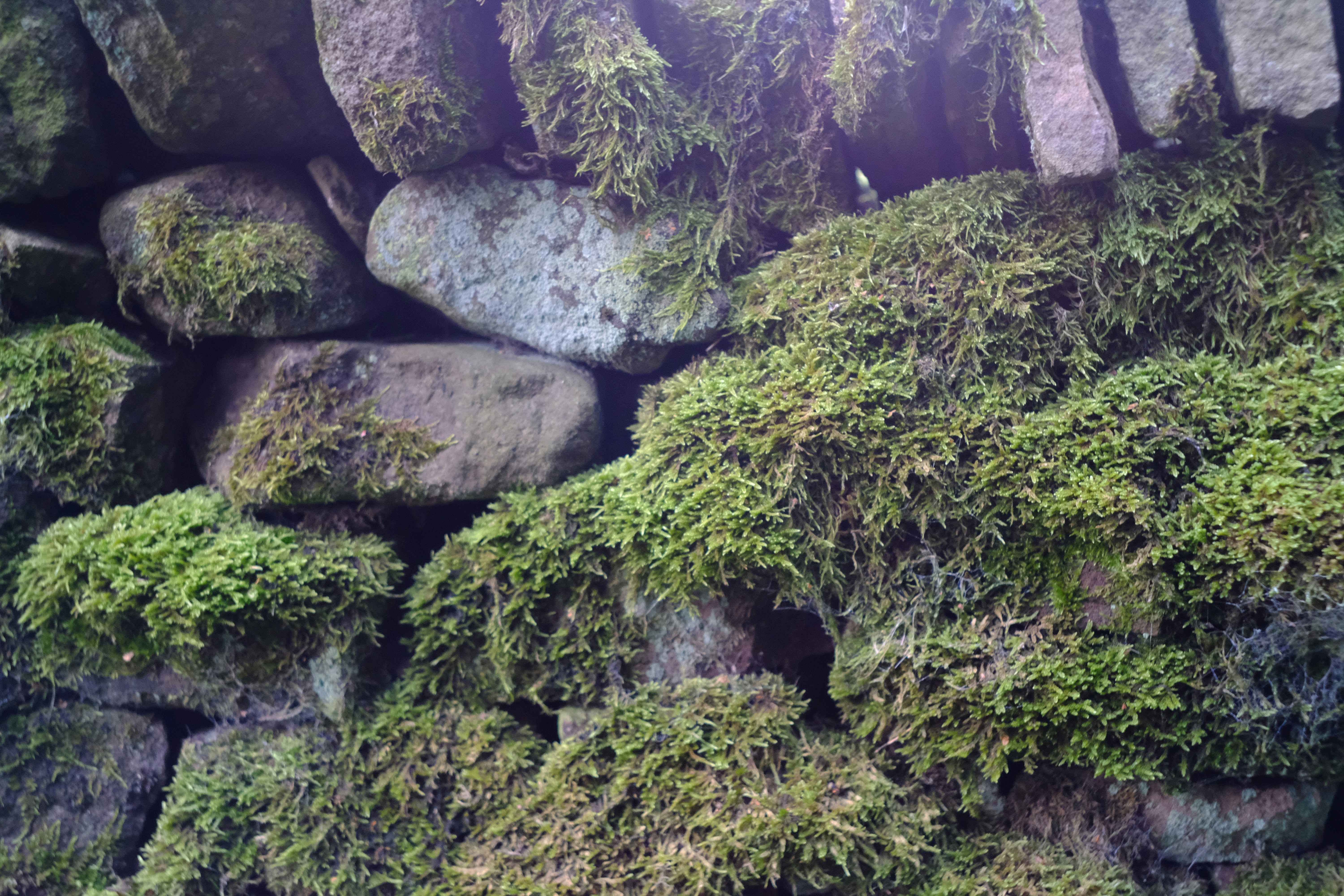 Photo by judithknight