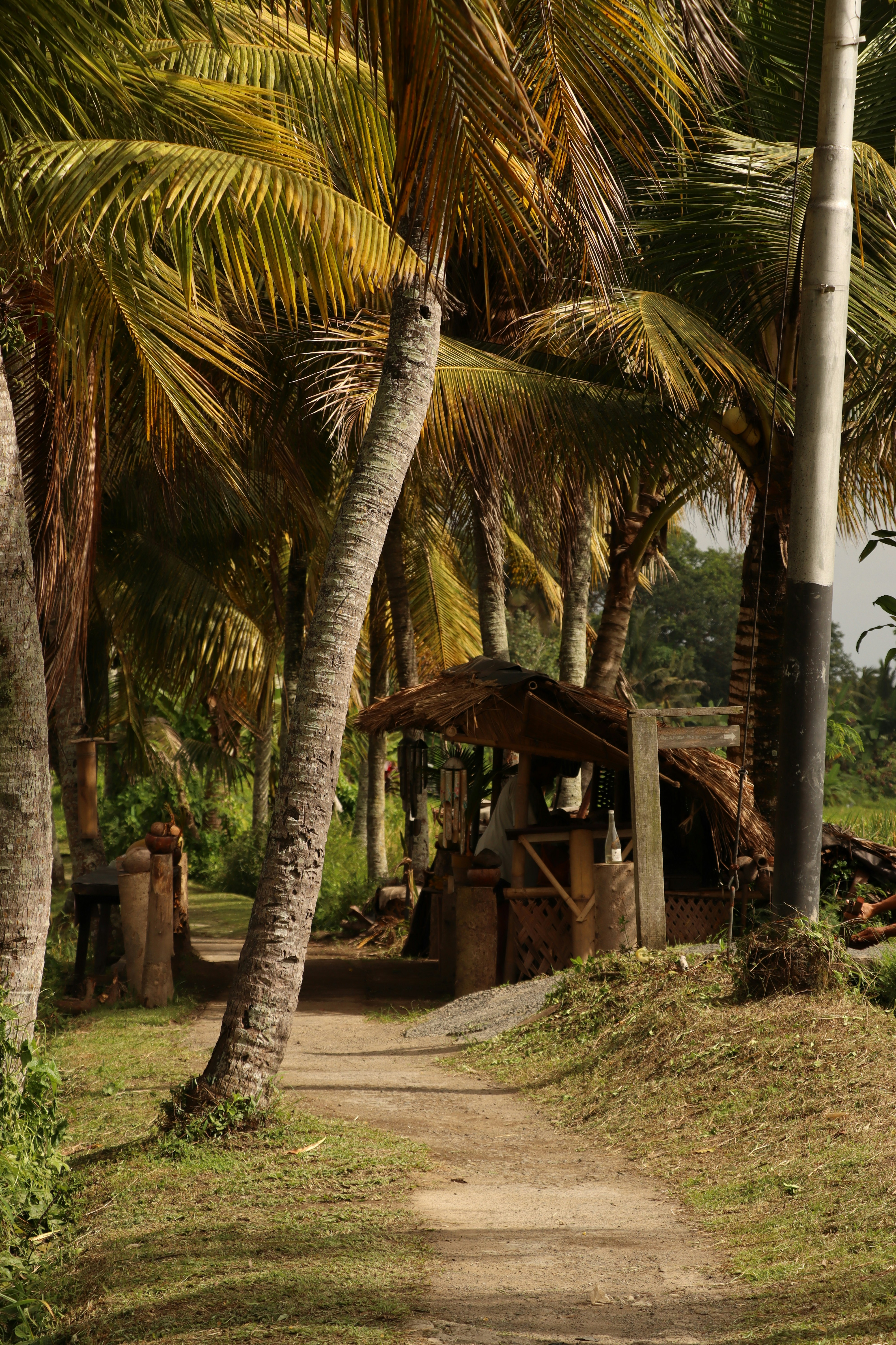 Photo by tomsnauticalmiles