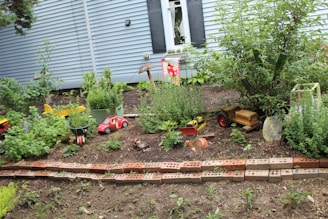 A small garden area with a variety of green plants and herbs is bordered by a row of bricks. Several toy vehicles, including a red car and a truck, are scattered around the garden. A small banner with a sunflower design hangs from a wooden post. In the background, a blue house with black shutters and a window with flower boxes is visible.