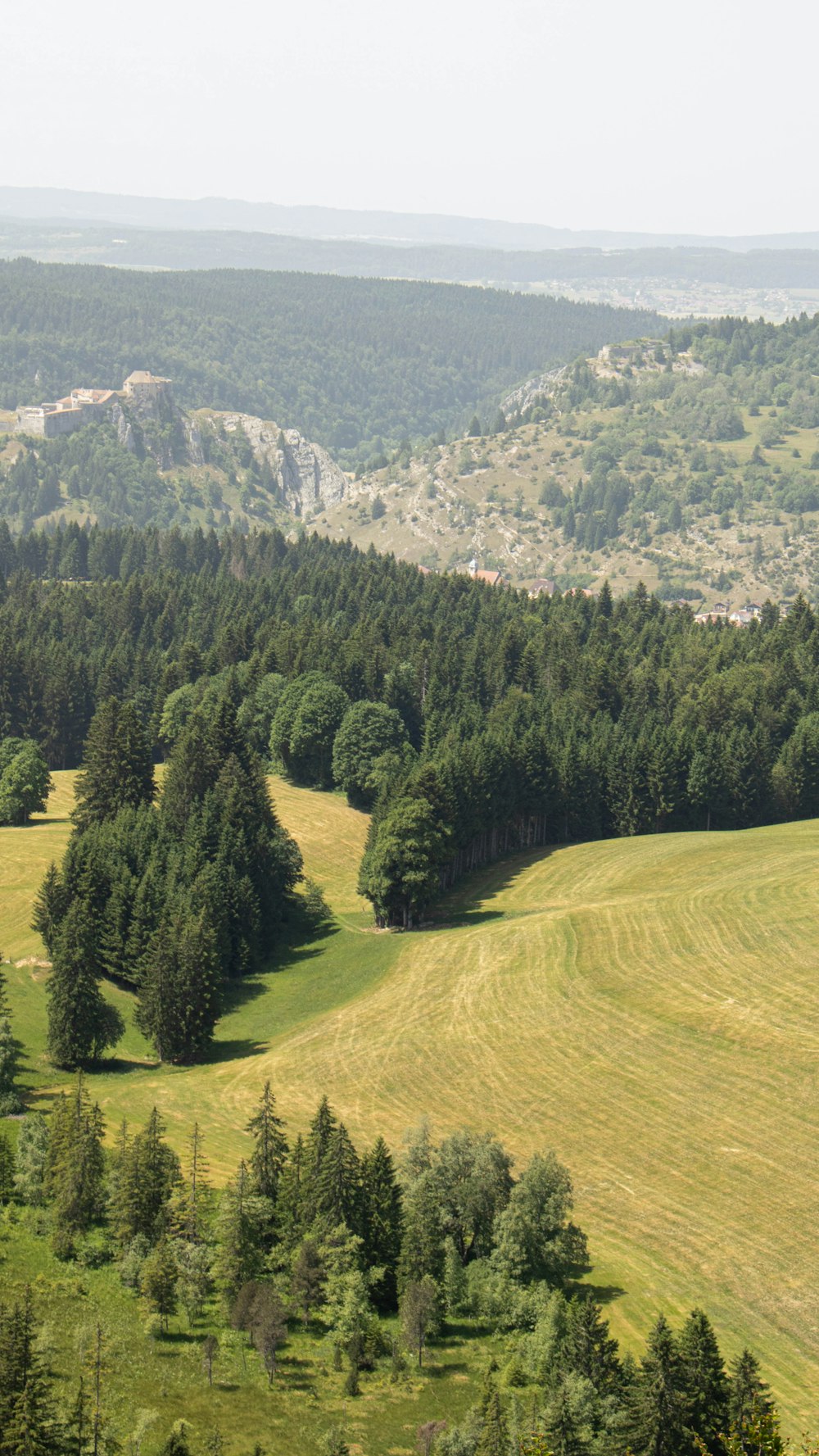 a landscape with trees and hills