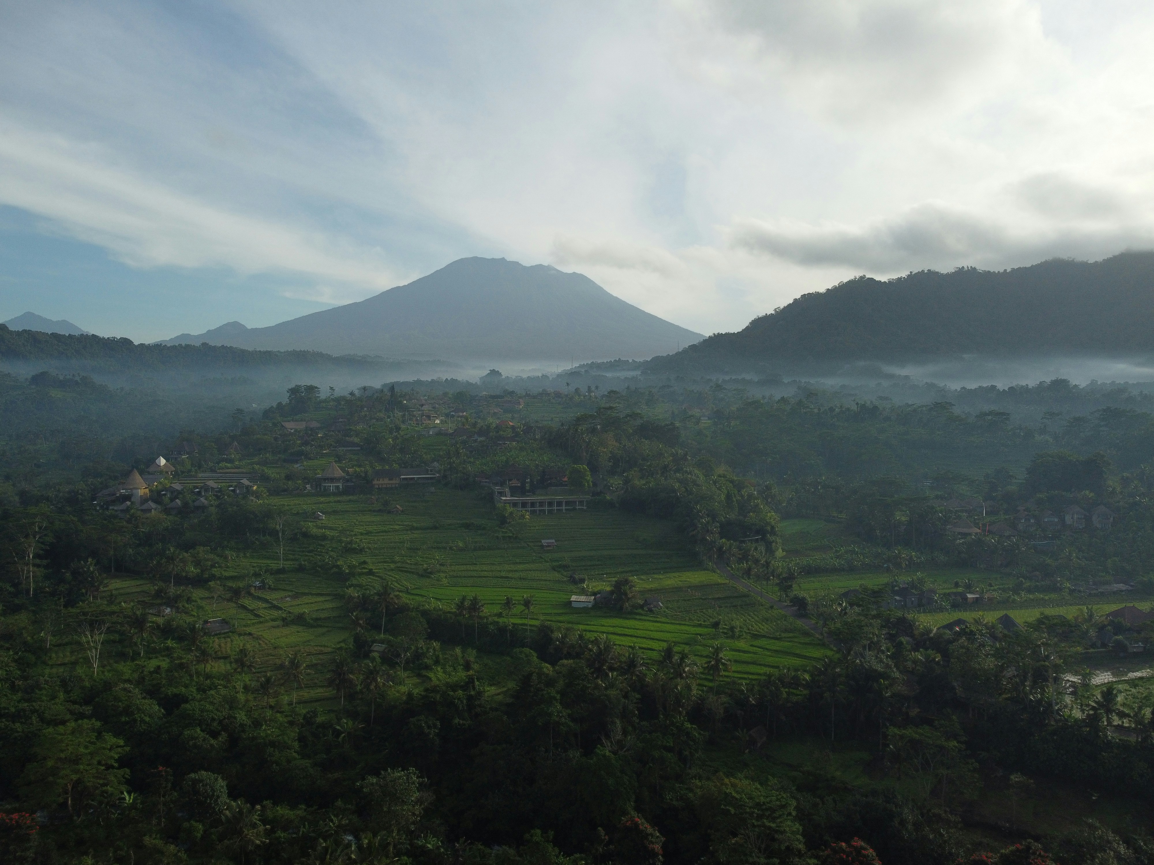 Misty mountain valley at dawn, dark green terraced hillsides, atmospheric fog, deep shadows