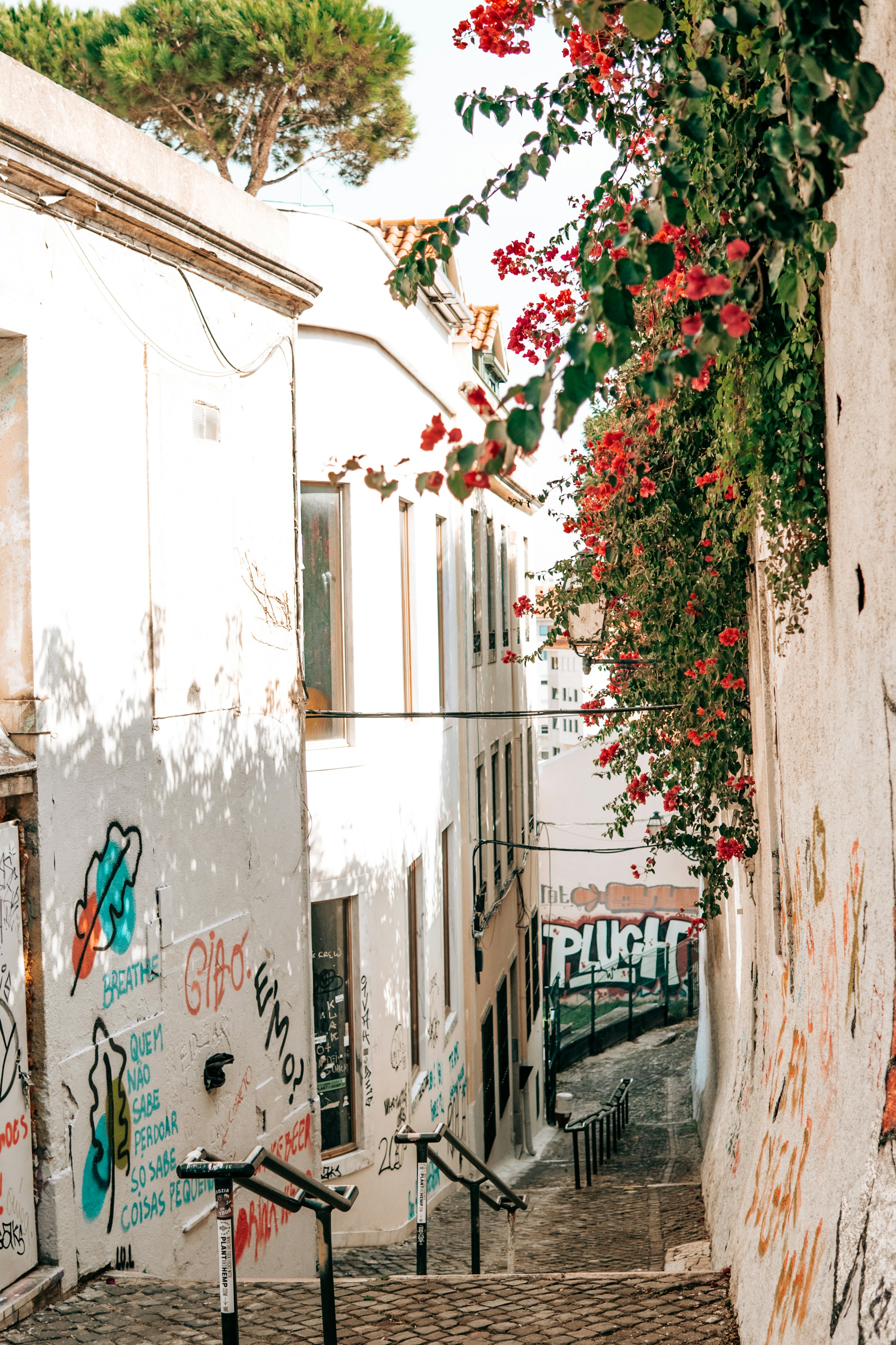 The Hidden Cost of Yes: Why Saying No Saves Your Business