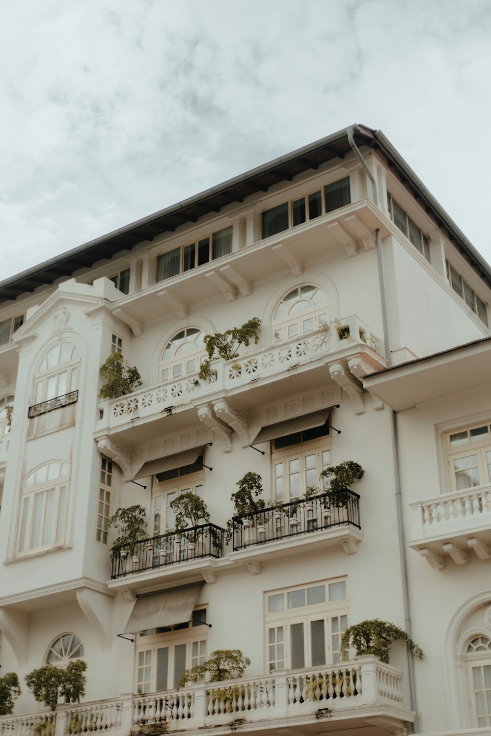 a building with plants growing on the roof