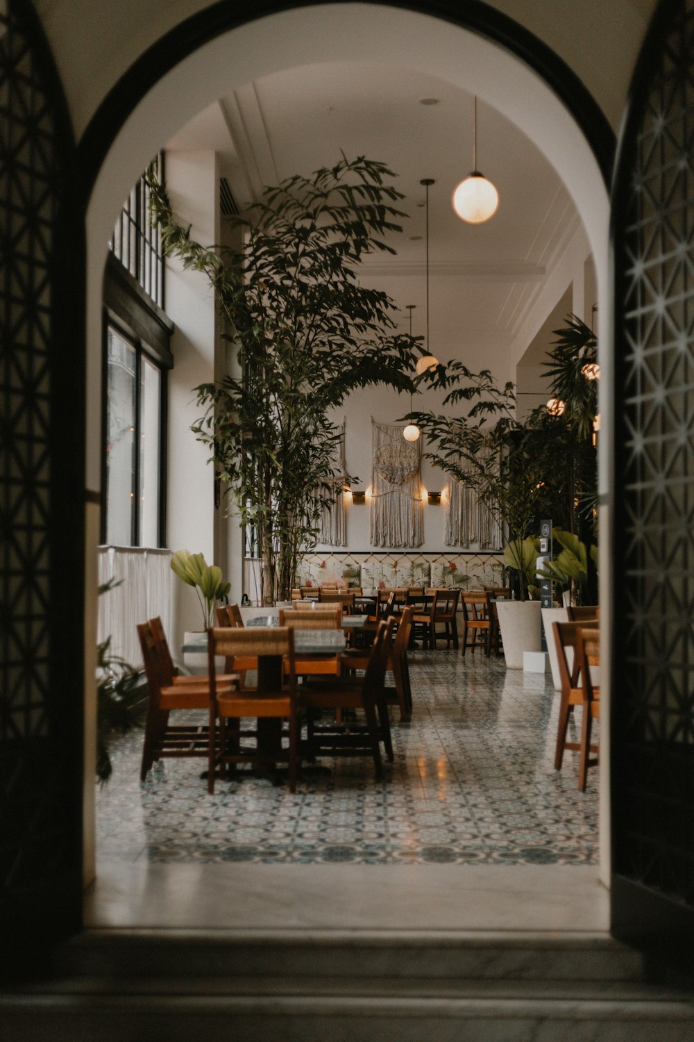 a table with chairs and a tree