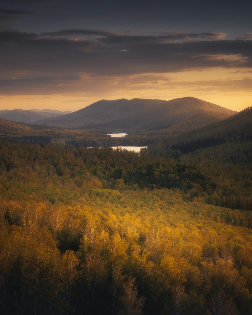 a landscape with trees and hills