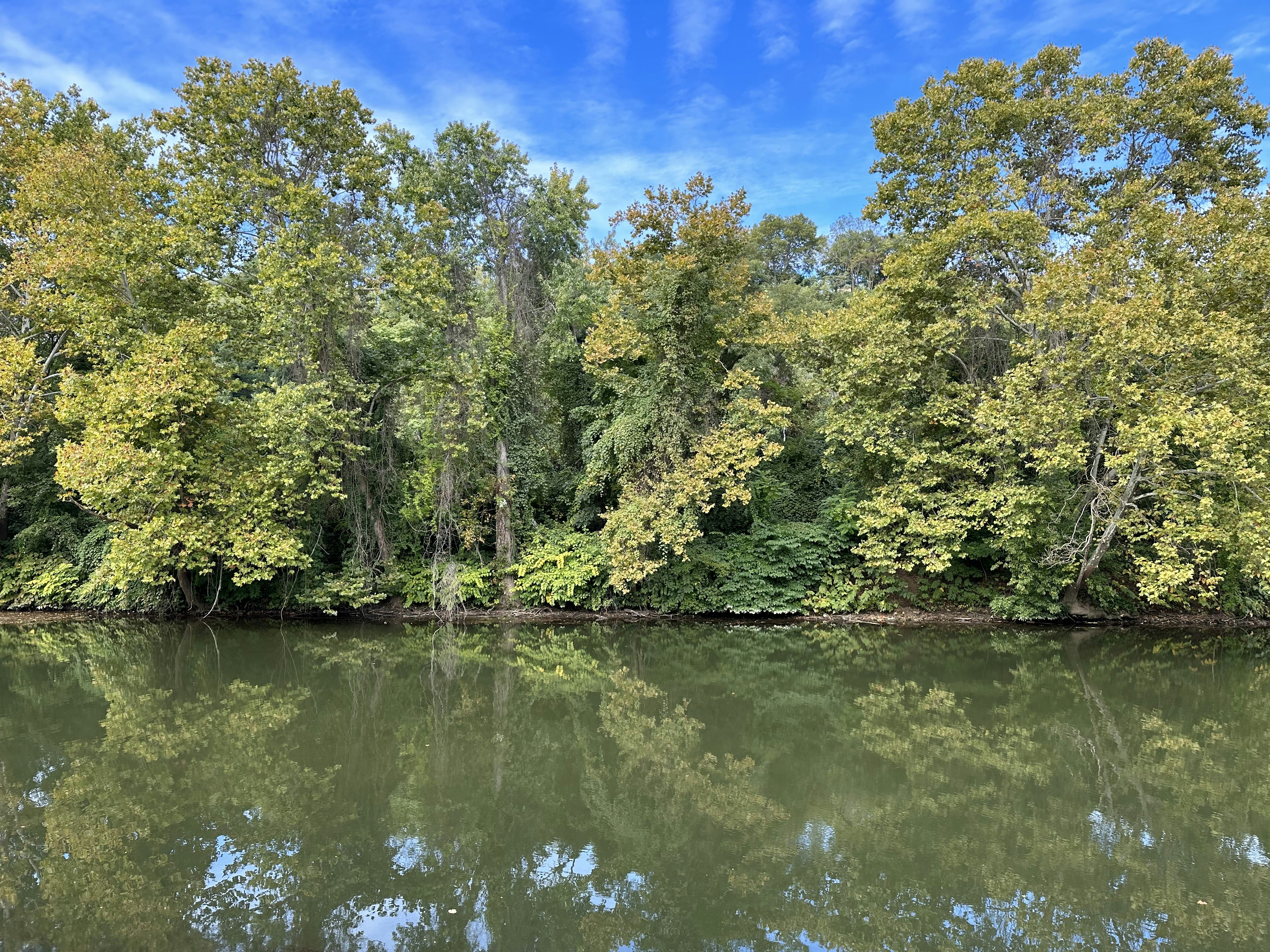 Photo by forsakenfilmslimited