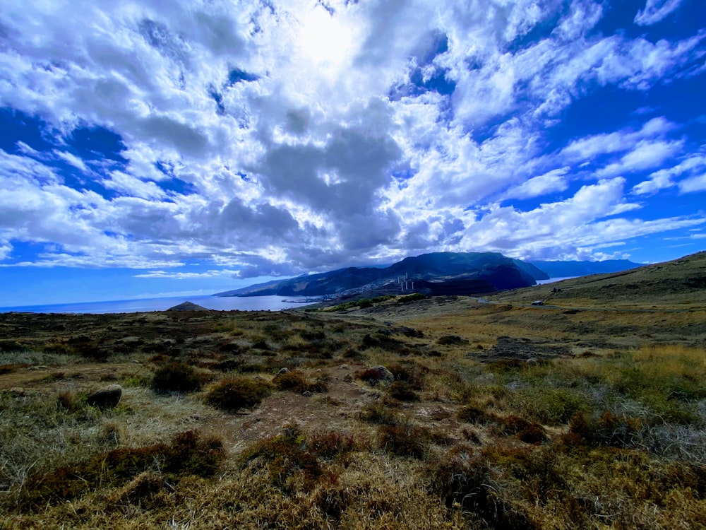 a grassy area with mountains in the background