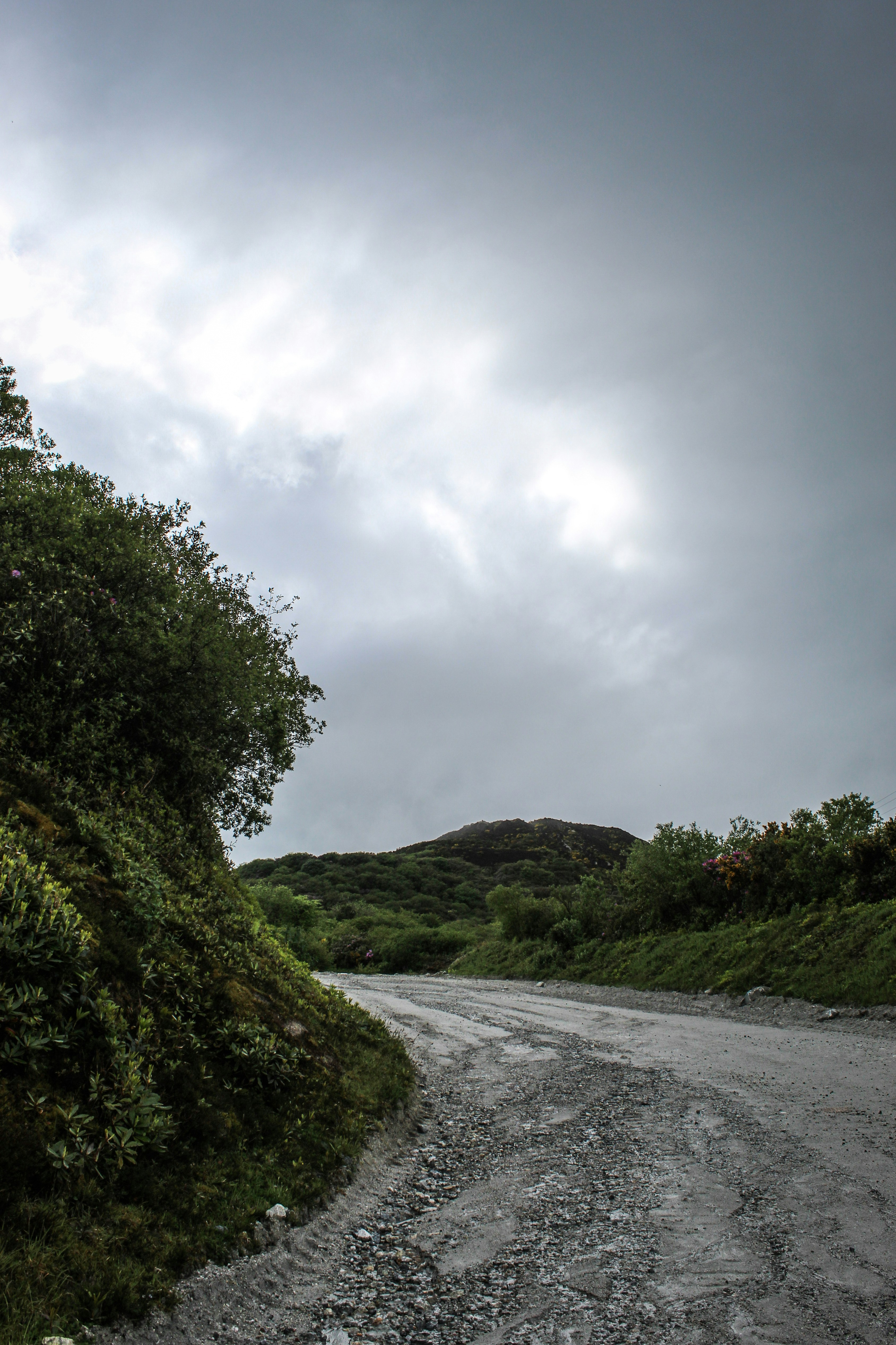 Photo by focalinsight