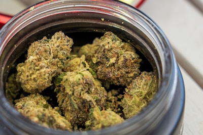 A close-up view of dried cannabis buds inside a black container. The buds appear dense, covered in trichomes, and show various shades of green and brown.