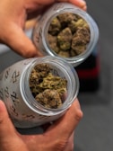 Two hands hold glass jars filled with cannabis buds. The buds are dense and have a mix of green and brown hues. The jars have a frosted surface with a pattern. The background is blurred, emphasizing the contents of the jars.