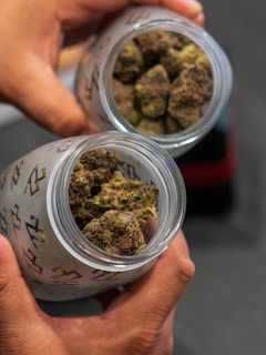 Two hands hold glass jars filled with cannabis buds. The buds are dense and have a mix of green and brown hues. The jars have a frosted surface with a pattern. The background is blurred, emphasizing the contents of the jars.