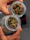 A close-up of hands browsing through colorful cannabis flower jars labeled with strain names.