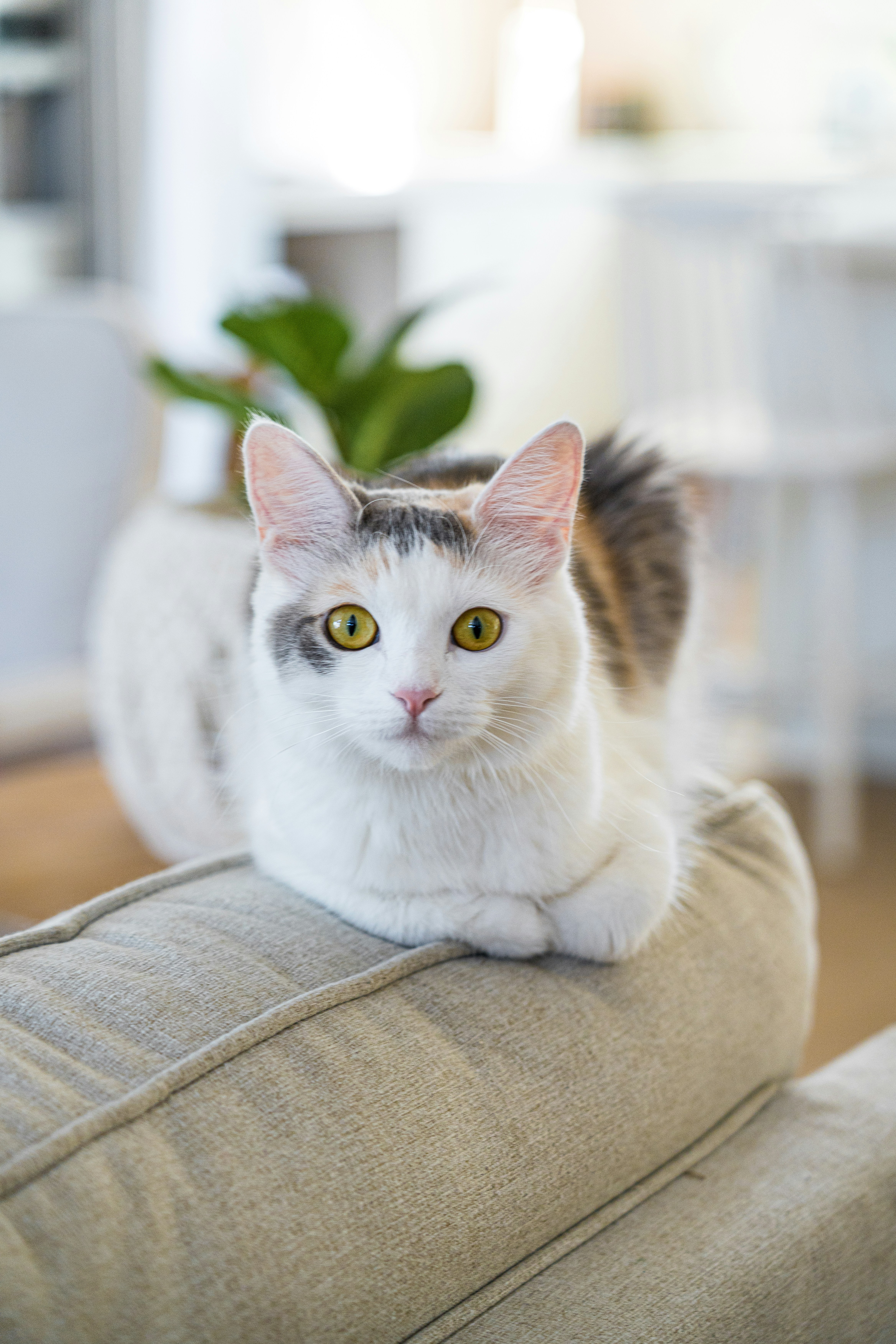 Photo by marty_made_it