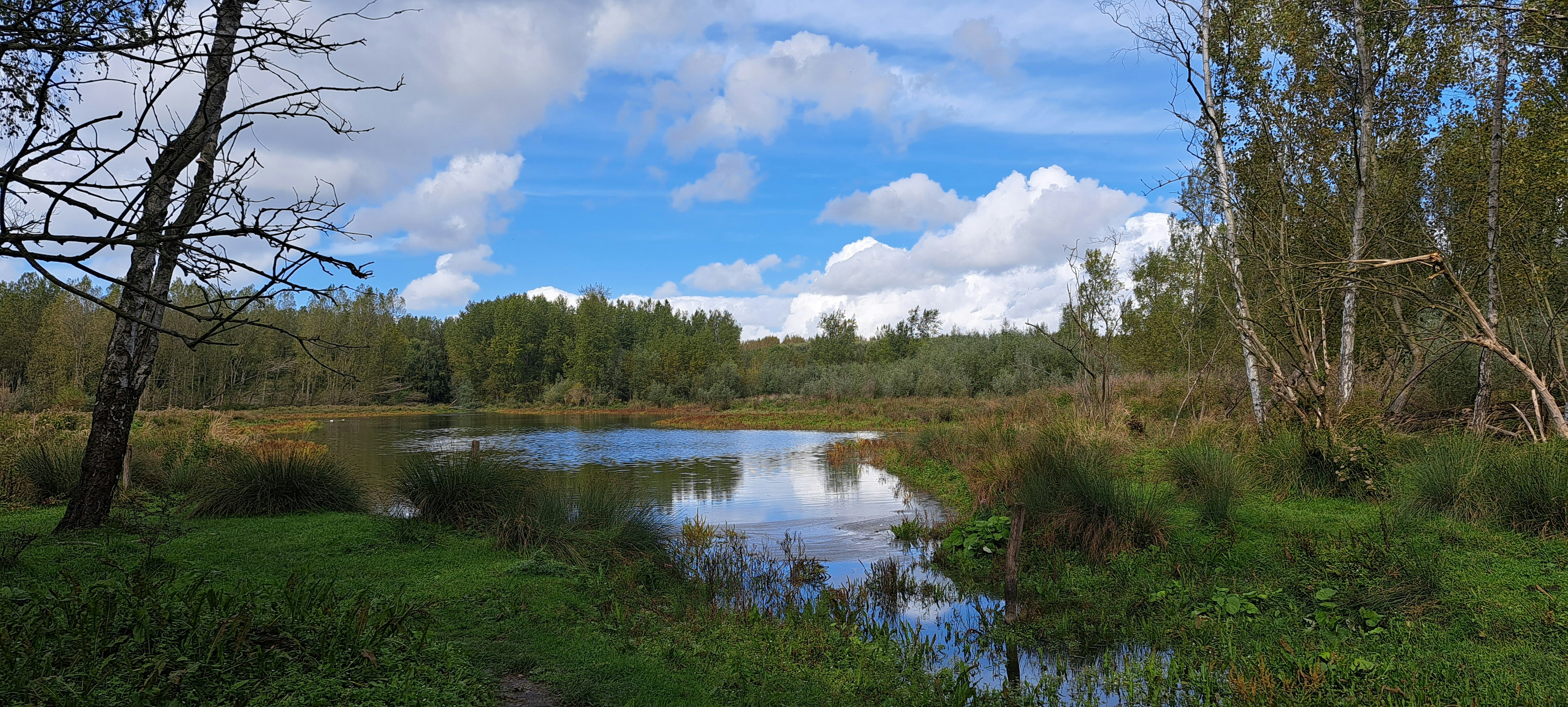 Afbeelding van Vlaardingen